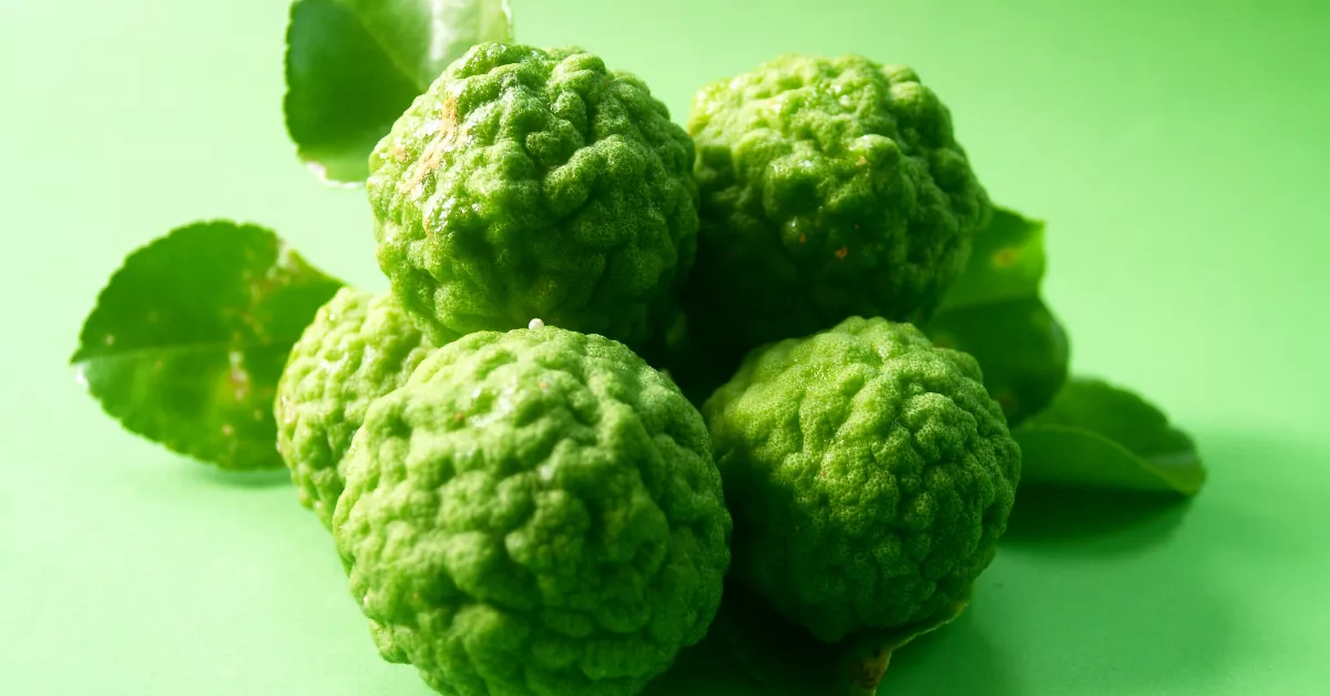 Bergamot fruit and leaves