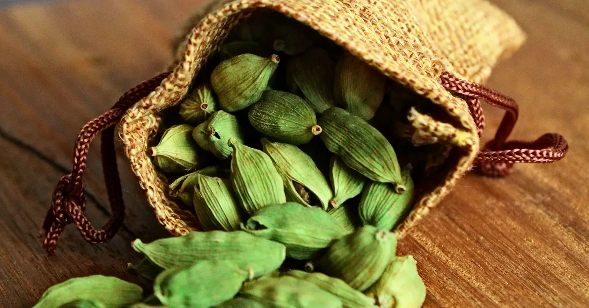 Green cardamom pods