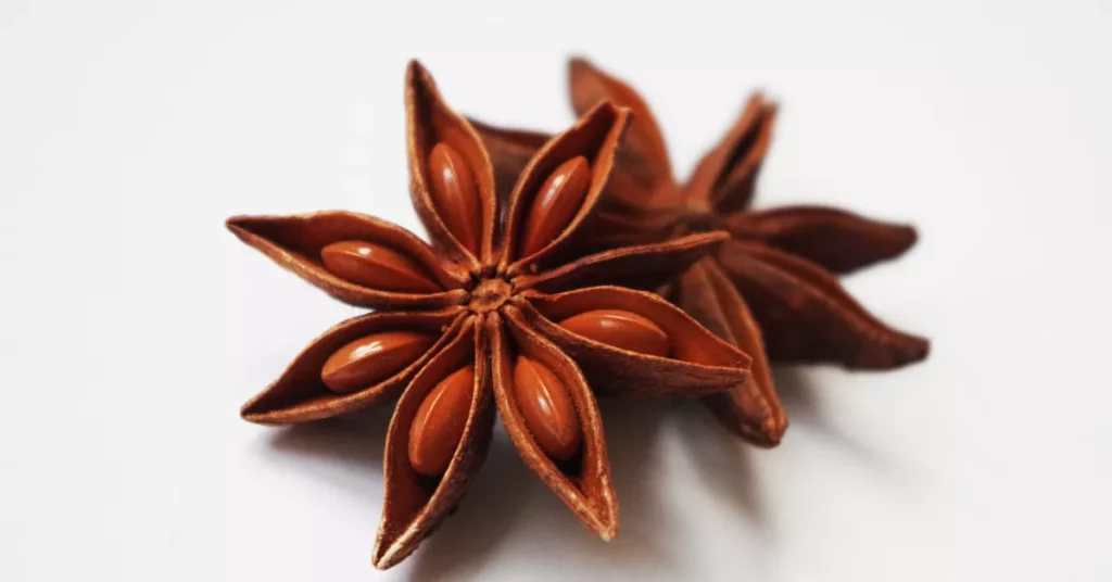 Discover the Aromatic Magic: Anise’s Role in Creating Sensational Scents!