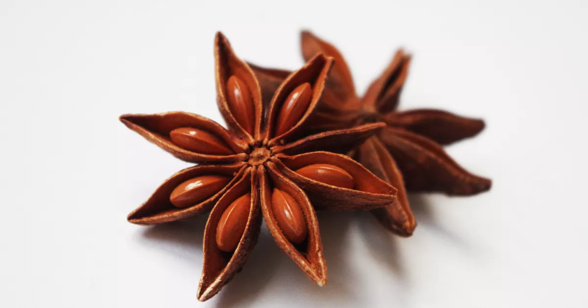 Star Anise